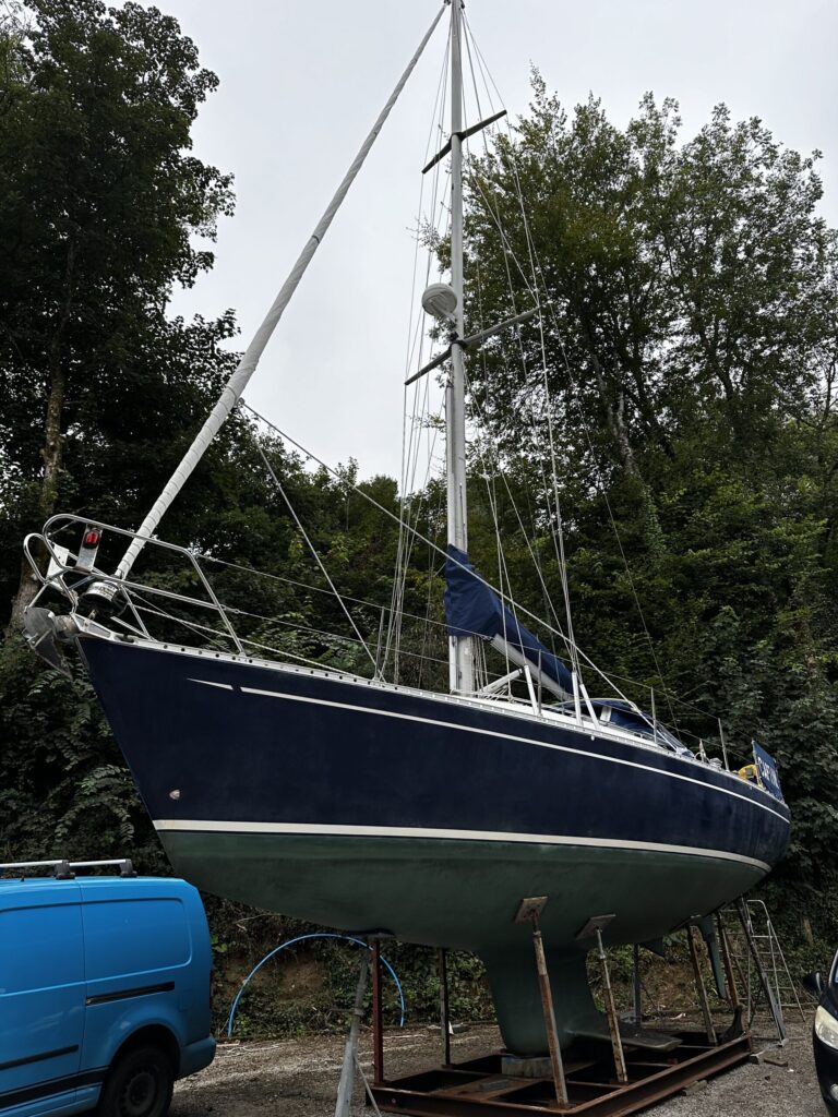 Img 9559